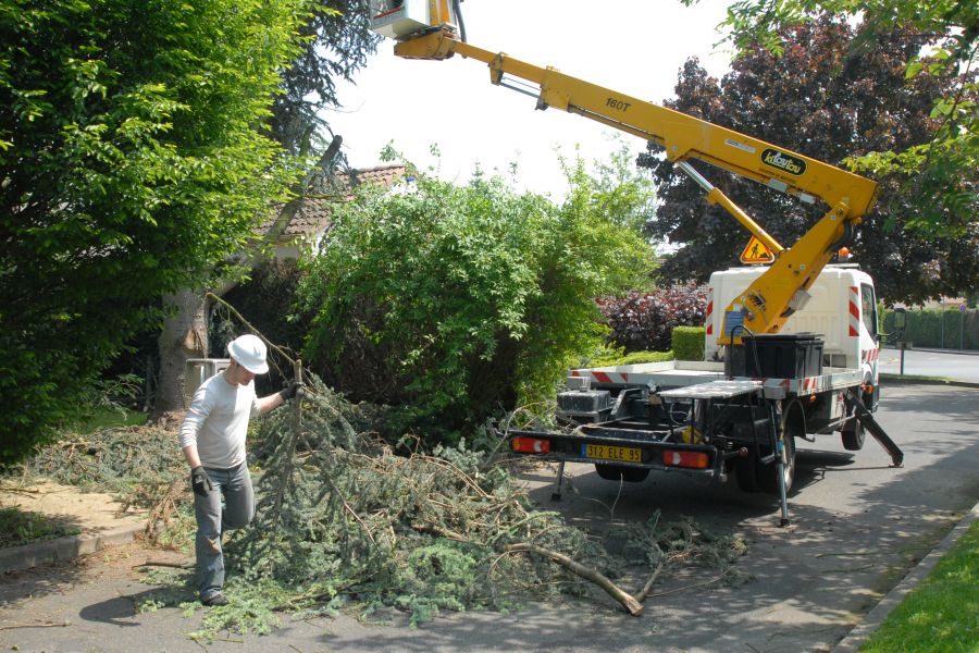 Entretien Parcs et jardins